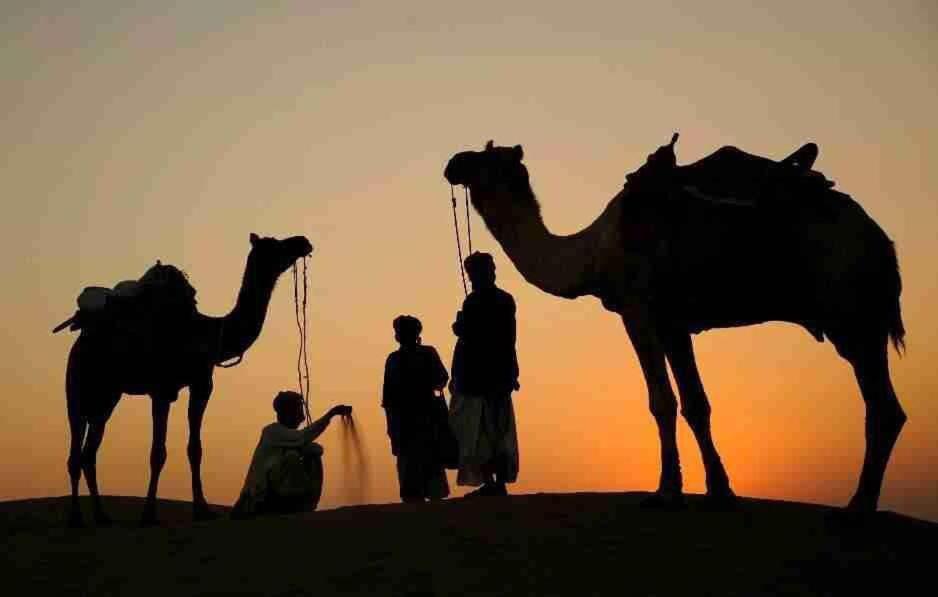 The Mama'S Resort & Camp Jaisalmer Exterior foto